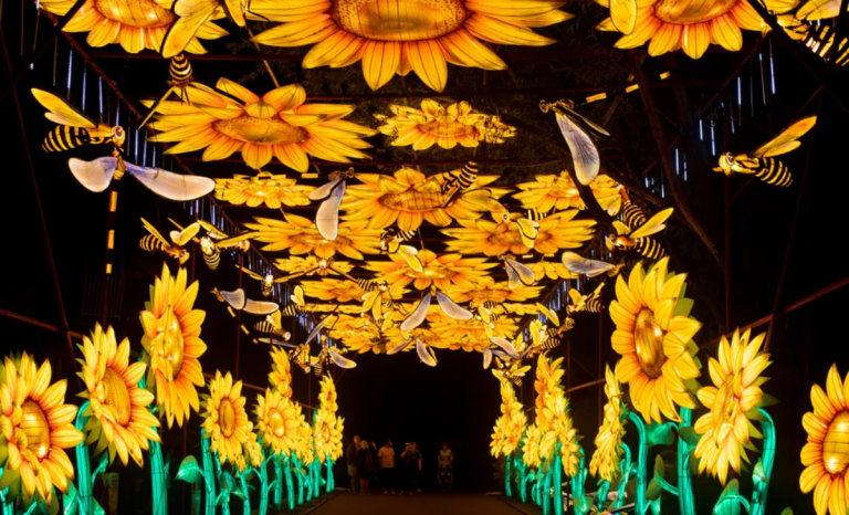 El Wild Lights Festival del zoo de Blank Park ofrece grandes espectáculos luminosos