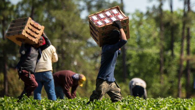 A proposed federal rule aims to better protect millions of workers from heat