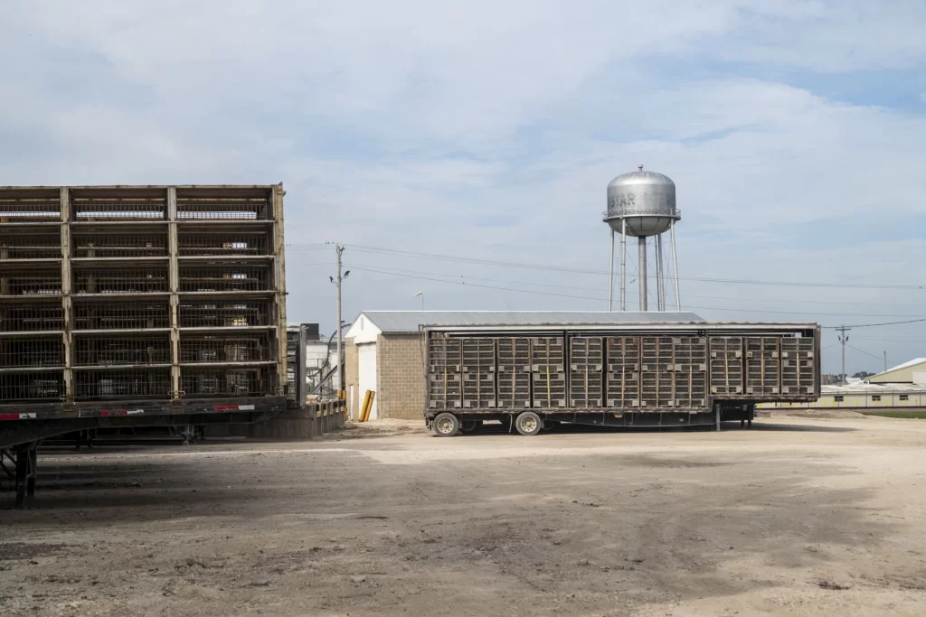 Natalie Krebs / Iowa Public Radio Postville's meatpacking plants have attracted many immigrants and helped to sustain its population.