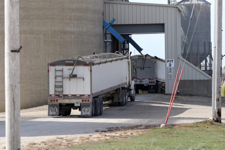 Iowa farmers have 120 days to file indemnity claims after Nebraska grain dealer announces bankruptcy