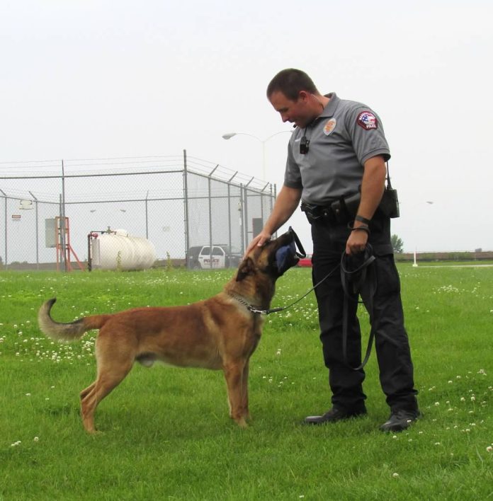 Retired Marshalltown police K-9 Jordy dies at 12