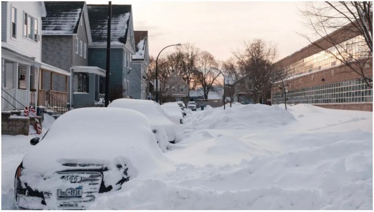 What is the polar vortex? How it impacts winter weather across the U.S. The polar vortex is a large area of circulating cold air above the North Pole. Strong winds keep it contained, but when it weakens, it can wobble and stretch.