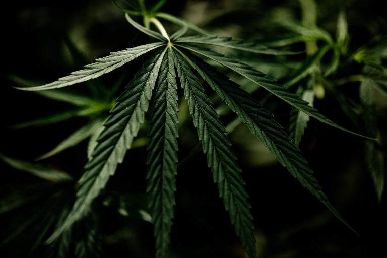 Cuánto ganan Illinois, Minnesota y Missouri con la marihuana legal cerca de Iowa