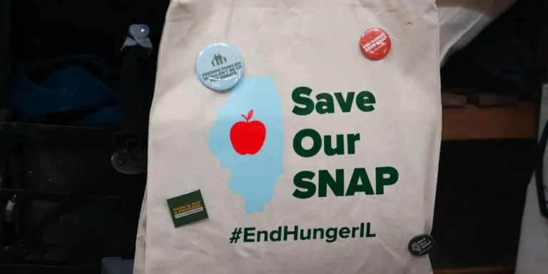 150,000 Illinois households may lose SNAP benefits May 1