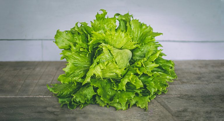 Iowa reports 57 cyclosporiasis cases as lettuce recall reaches the state
