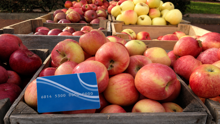 Illinois SNAP benefits can stop after 3 months: Who is exempt?